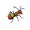 ant