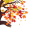 fall