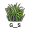 ras