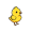 chick