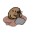 mole