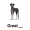 dane