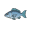 cod
