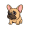 bulldog