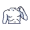 torso