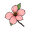 blossom