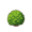 shrub