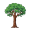 elm