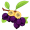 acai