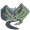 pass