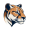 cougar