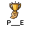 riz