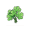 parsley