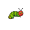 larva