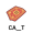 rpe