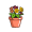 pot