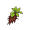 root