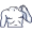 torso