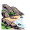 coast
