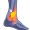 tendon