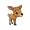 doe
