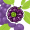 acai