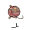 woo