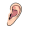 lobe