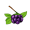acai