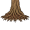 root