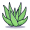 aloe