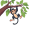 hanging