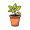 pot