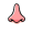 nose