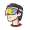 visor