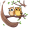 owls
