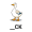du