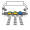 race