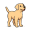lab