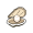 ear